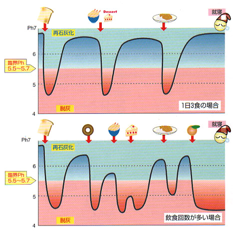 糖質は量より食べる頻度が問題