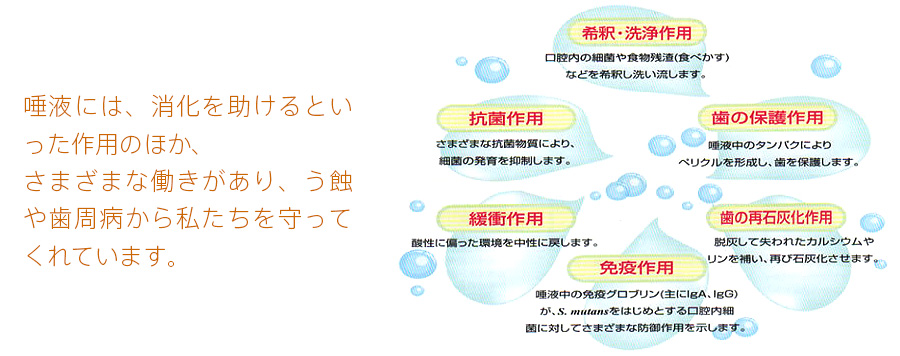 唾液