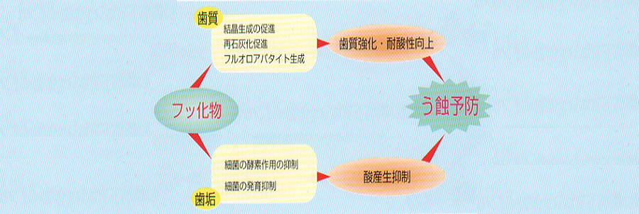 フッ化物